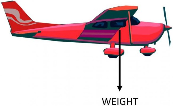 Plane CG - image 3